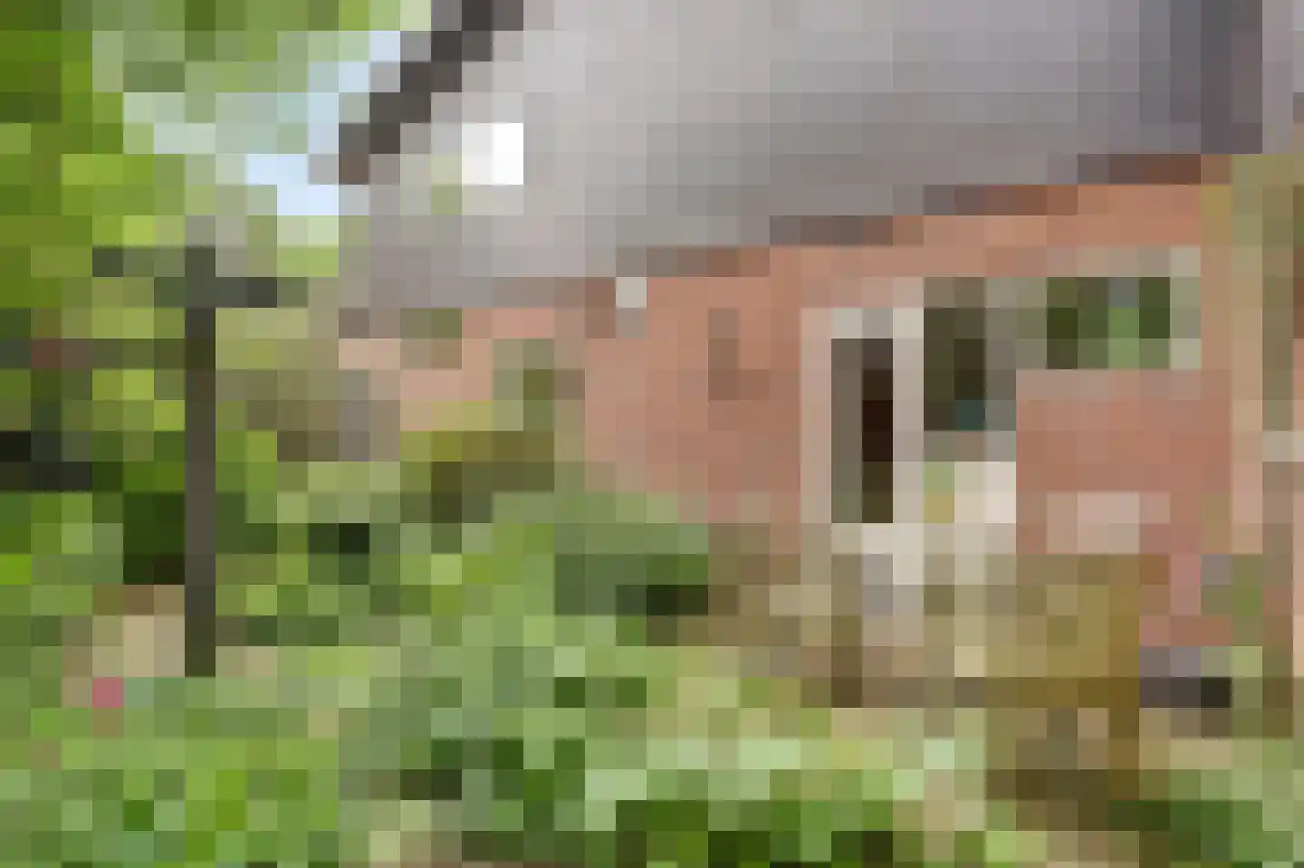 Chloralaan 14 Oostvoorne thumbnail 33