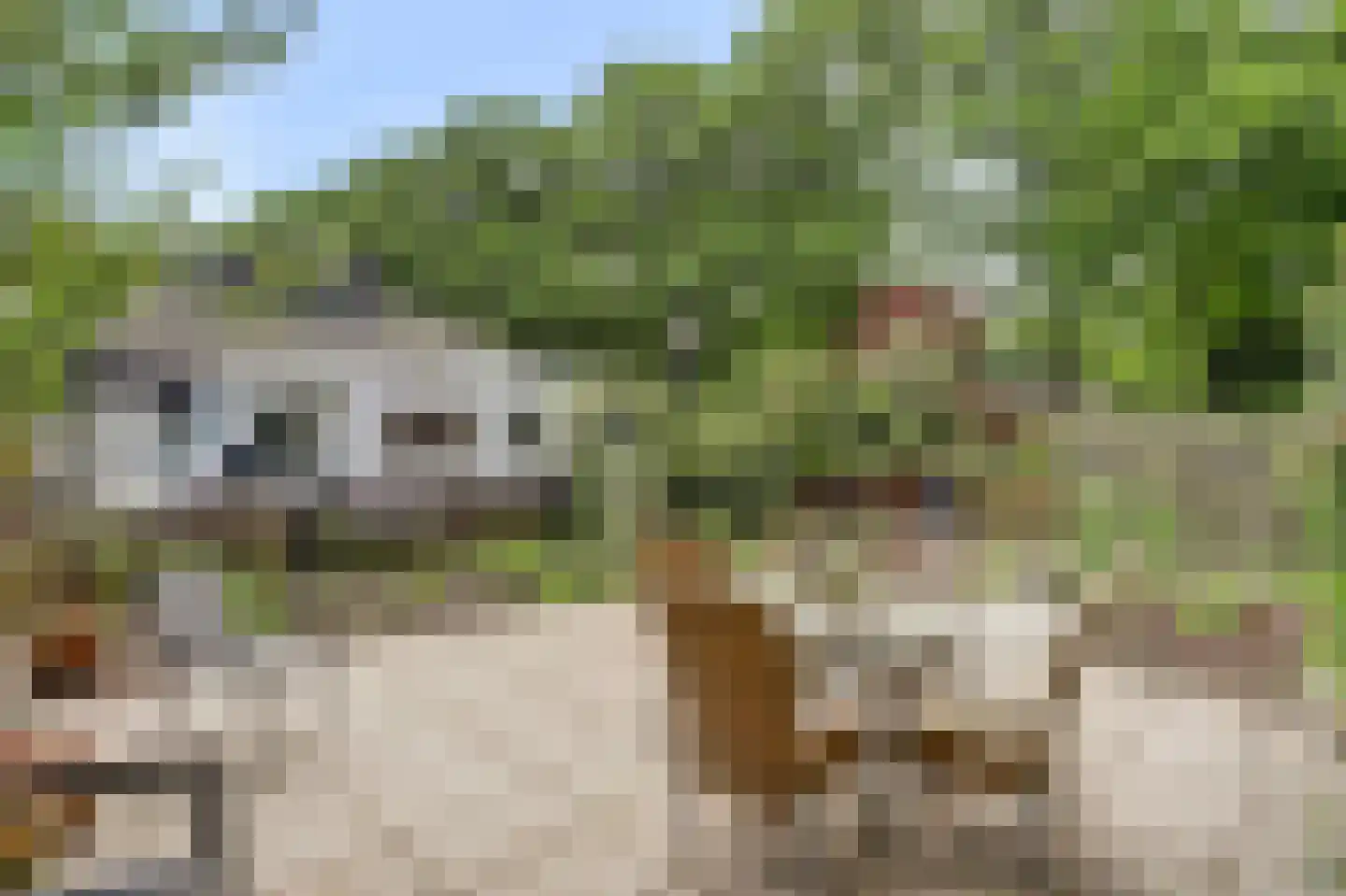 Chloralaan 14 Oostvoorne thumbnail 35