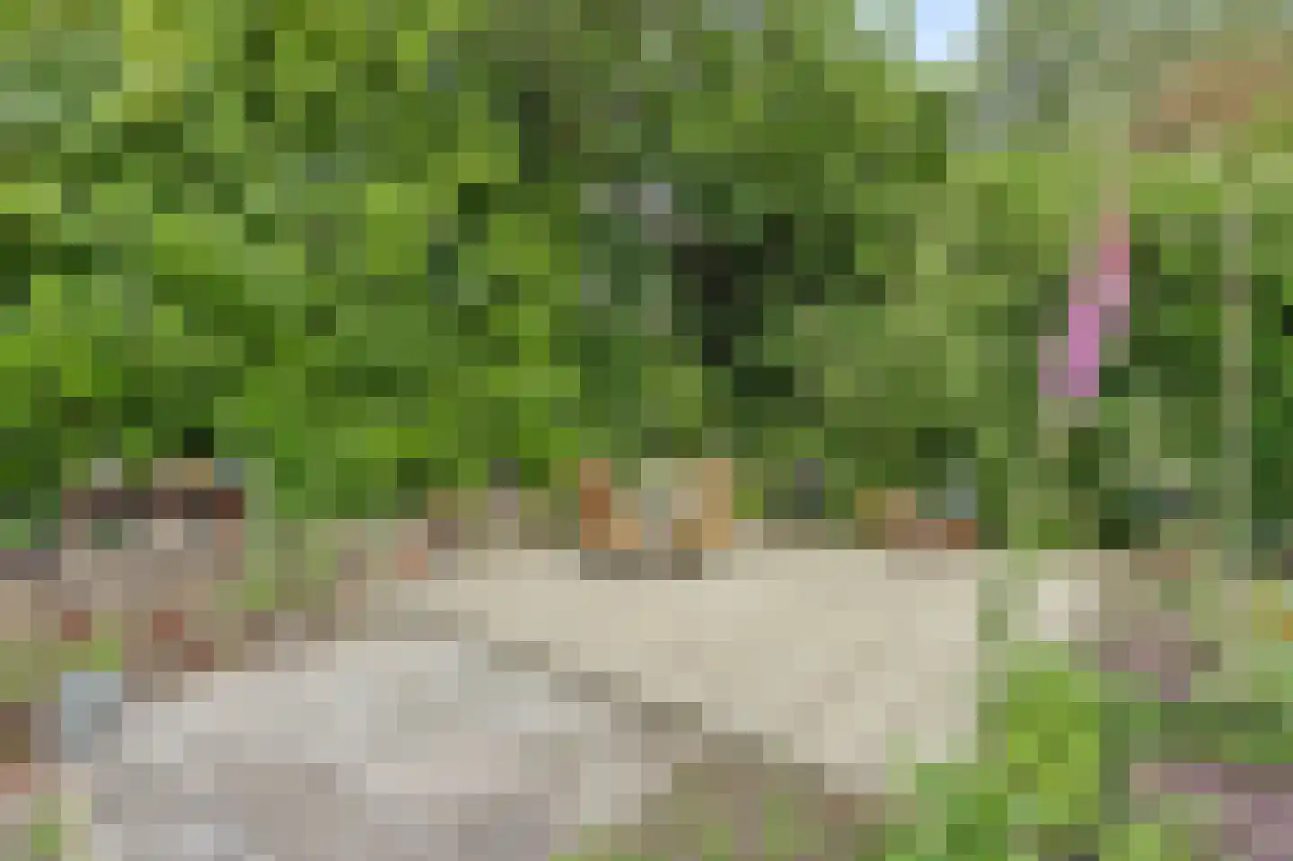 Chloralaan 14 Oostvoorne thumbnail 36