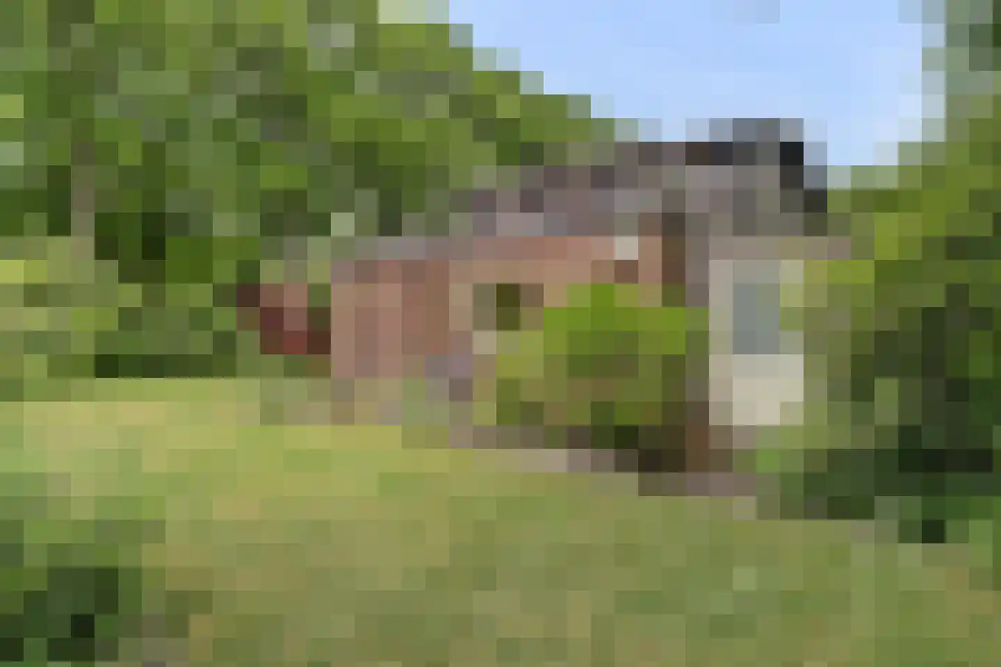 Chloralaan 14 Oostvoorne thumbnail 39