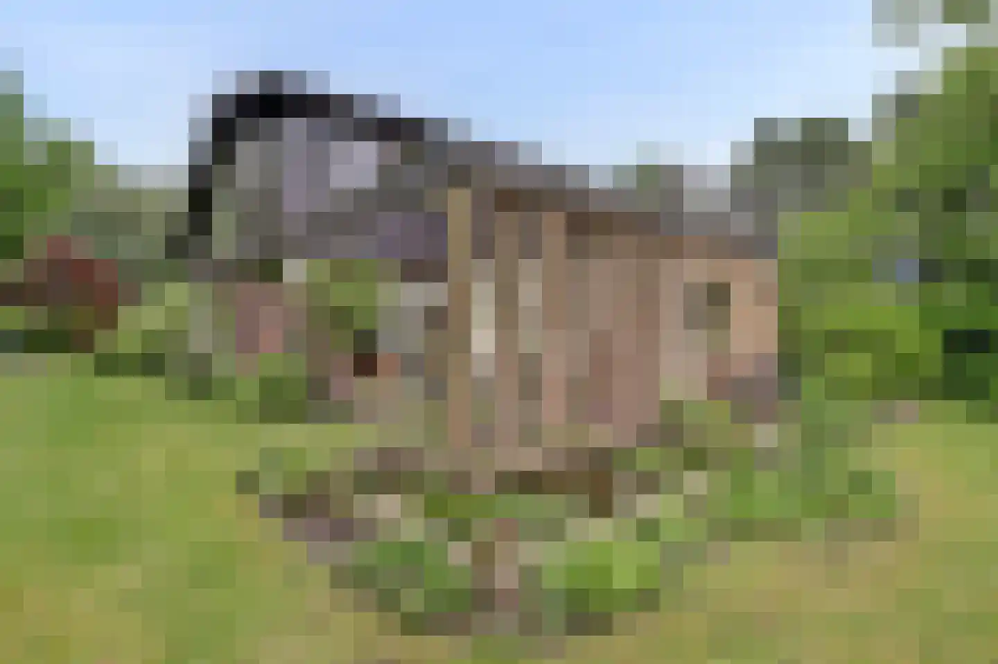 Chloralaan 14 Oostvoorne thumbnail 40