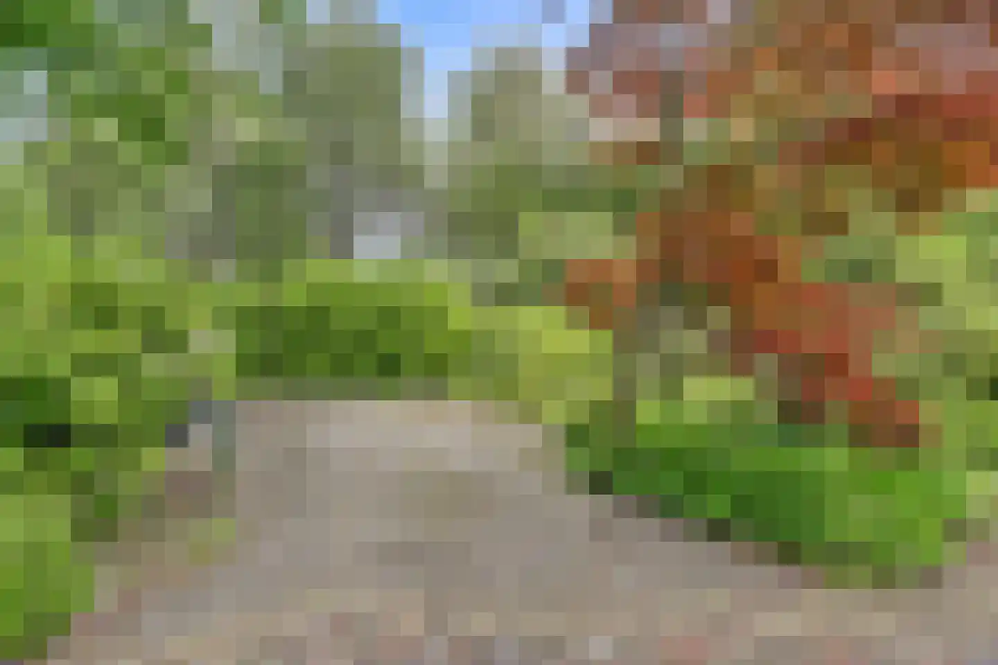 Chloralaan 14 Oostvoorne thumbnail 43