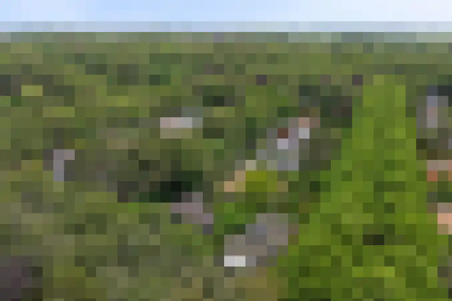 Chloralaan 14 Oostvoorne thumbnail 44