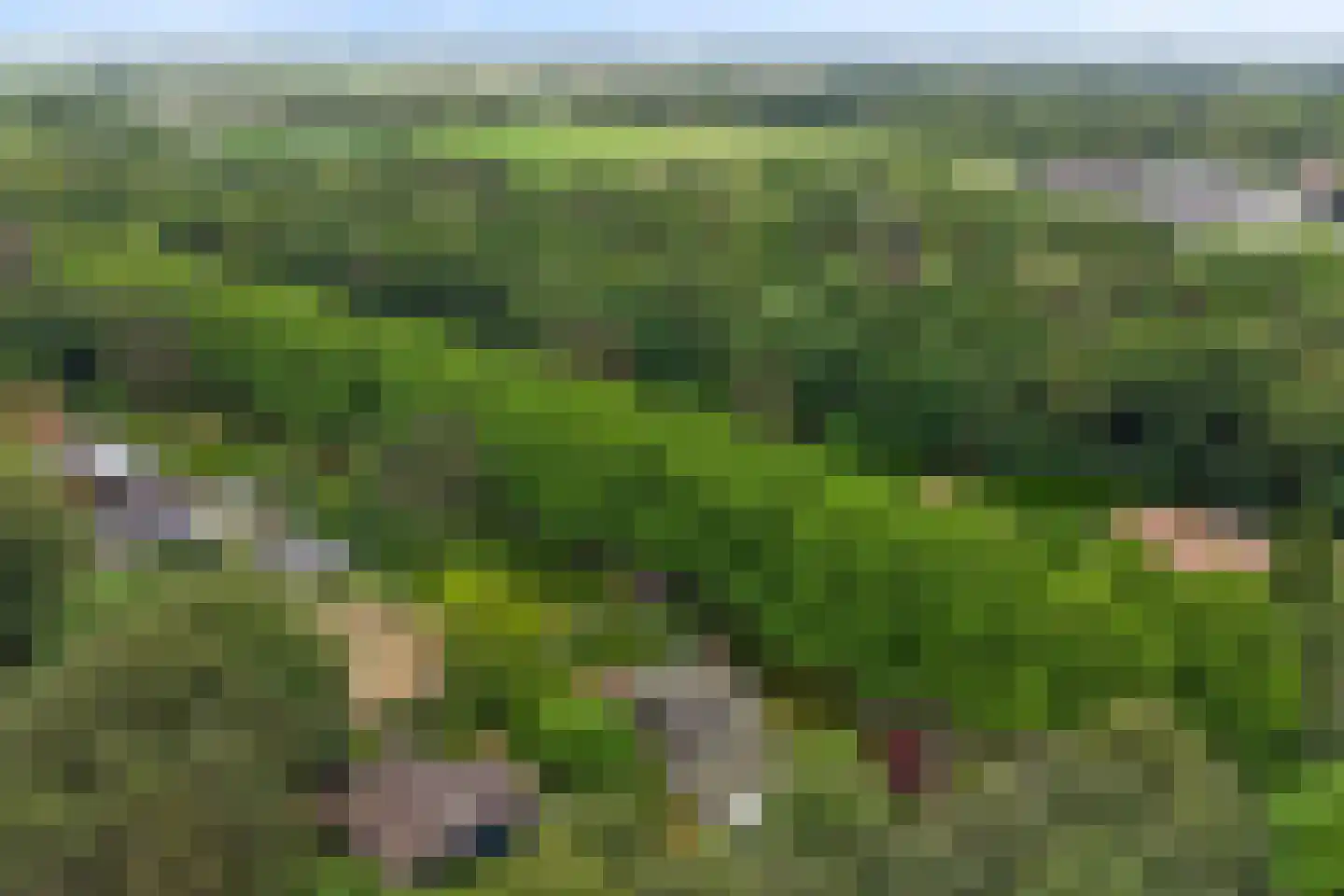 Chloralaan 14 Oostvoorne thumbnail 45