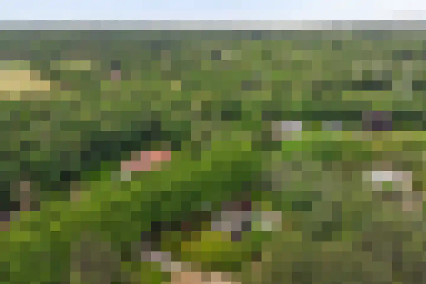 Chloralaan 14 Oostvoorne thumbnail 46