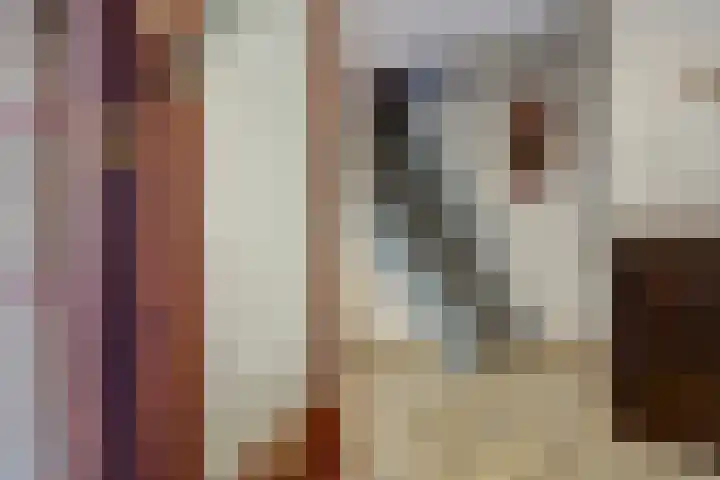 Chloralaan 4 Oostvoorne thumbnail 10