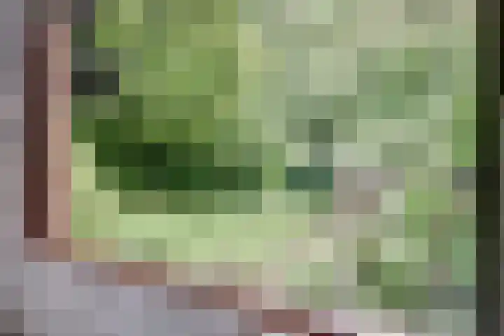 Chloralaan 4 Oostvoorne thumbnail 25