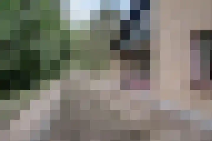 Chloralaan 4 Oostvoorne thumbnail 28