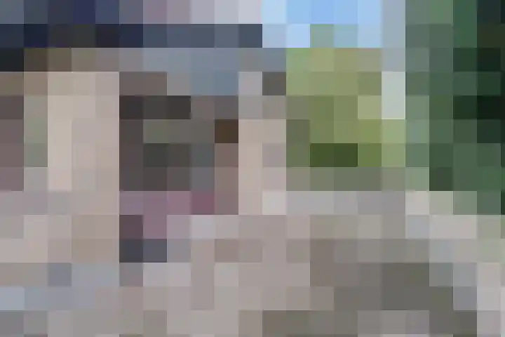 Chloralaan 4 Oostvoorne thumbnail 29