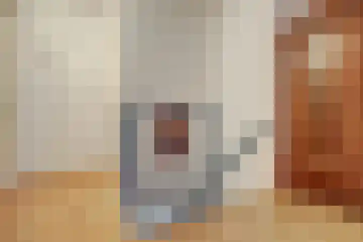 Chloralaan 4 Oostvoorne thumbnail 31