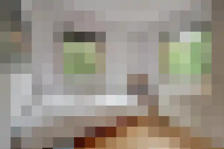 Chloralaan 4 Oostvoorne thumbnail 32