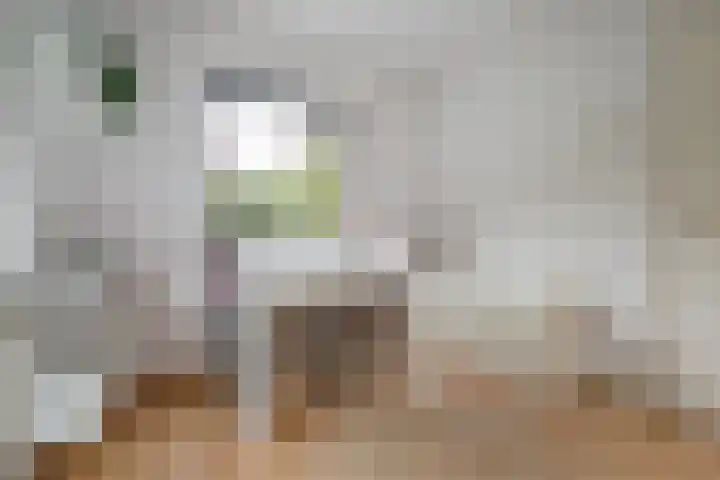 Chloralaan 4 Oostvoorne thumbnail 36