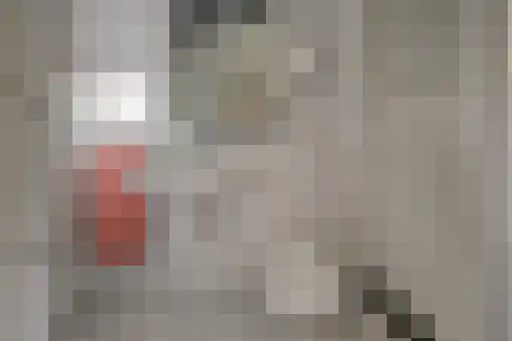 Chloralaan 4 Oostvoorne thumbnail 37
