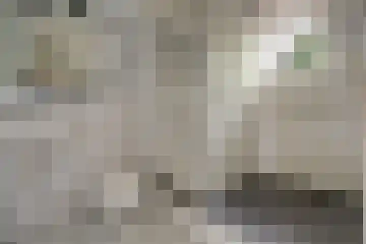 Chloralaan 4 Oostvoorne thumbnail 38