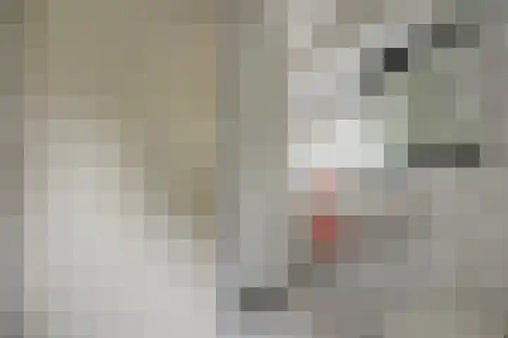 Chloralaan 4 Oostvoorne thumbnail 39