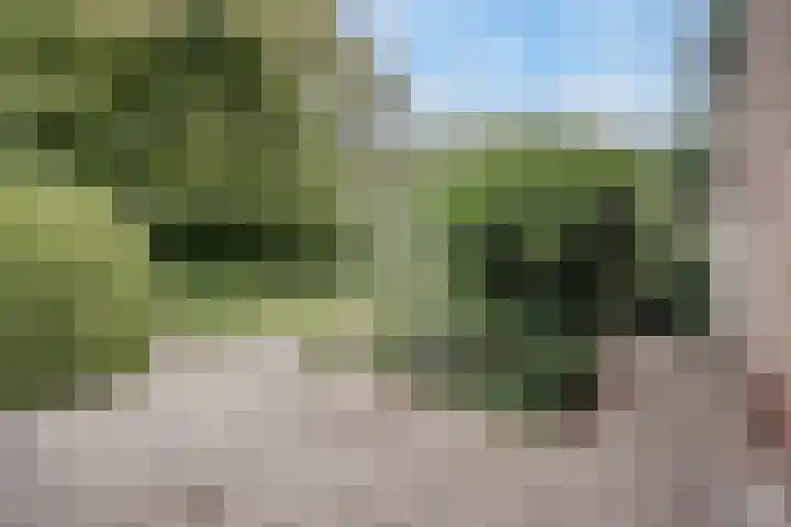 Chloralaan 4 Oostvoorne thumbnail 44