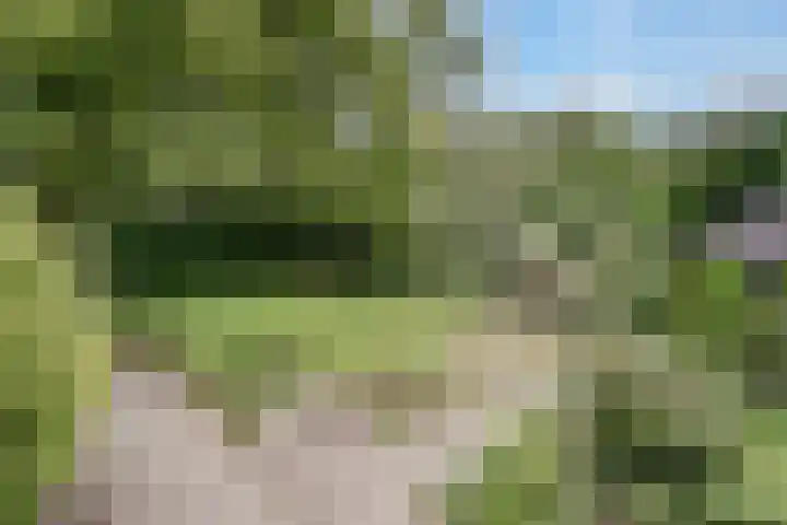 Chloralaan 4 Oostvoorne thumbnail 45