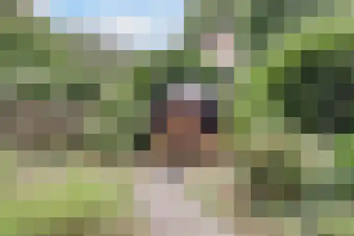 Chloralaan 4 Oostvoorne thumbnail 46