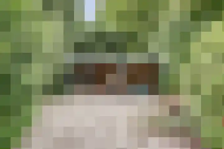 Chloralaan 4 Oostvoorne thumbnail 48
