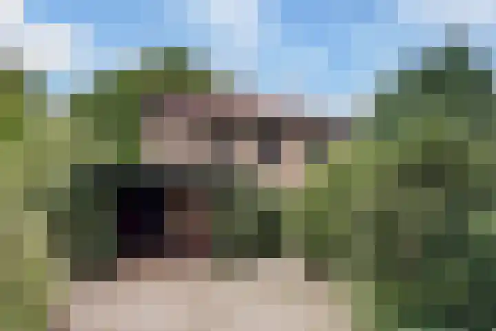 Chloralaan 4 Oostvoorne thumbnail 5