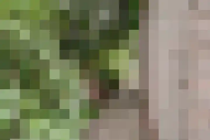 Chloralaan 4 Oostvoorne thumbnail 52