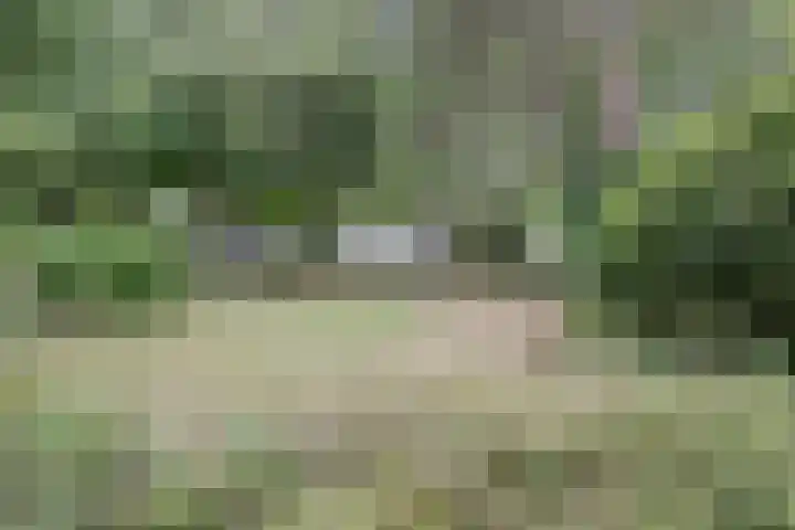Chloralaan 4 Oostvoorne thumbnail 54
