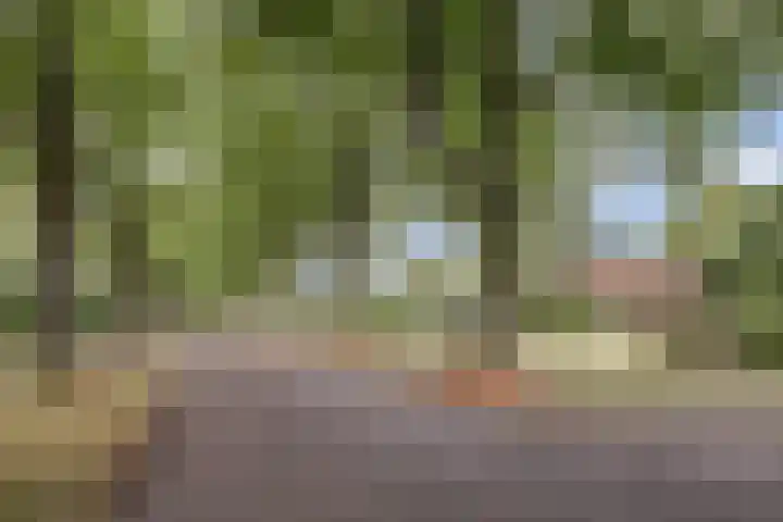 Chloralaan 4 Oostvoorne thumbnail 56