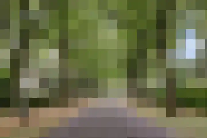 Chloralaan 4 Oostvoorne thumbnail 57