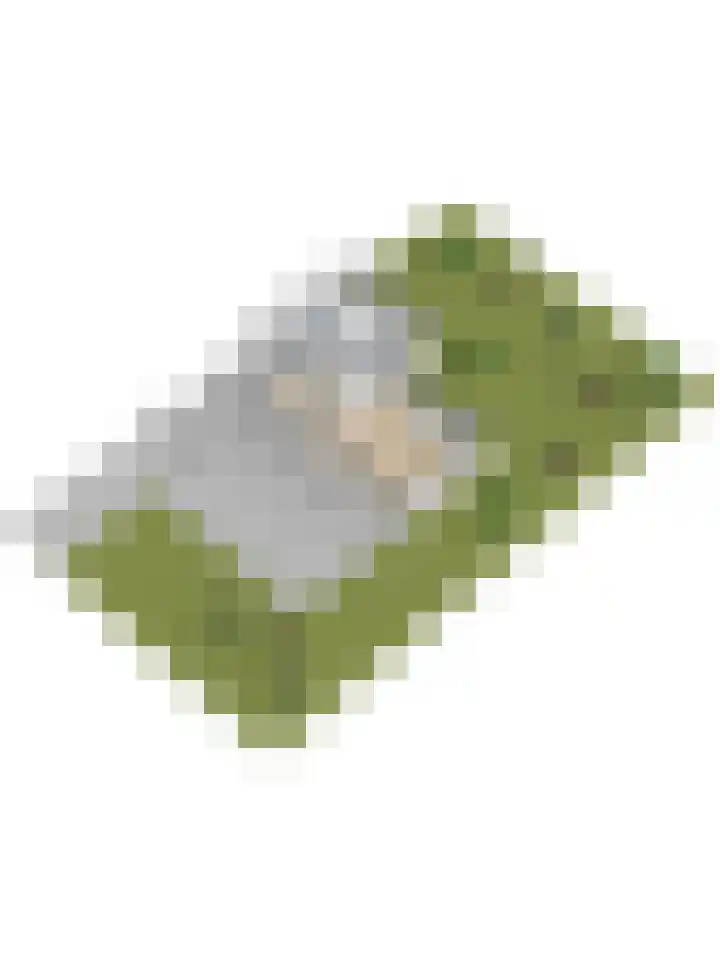 Chloralaan 4 Oostvoorne thumbnail 65