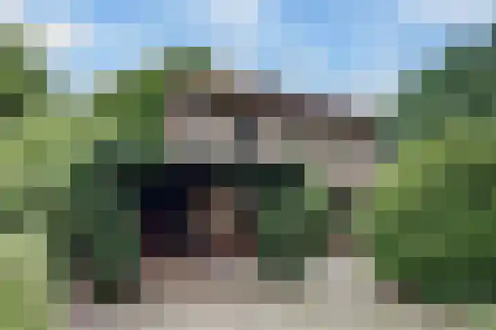 Chloralaan 4 Oostvoorne thumbnail 7