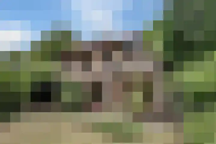 Chloralaan 4 Oostvoorne thumbnail 8