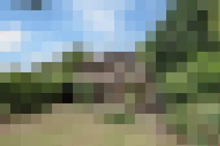 Chloralaan 4 Oostvoorne thumbnail 9