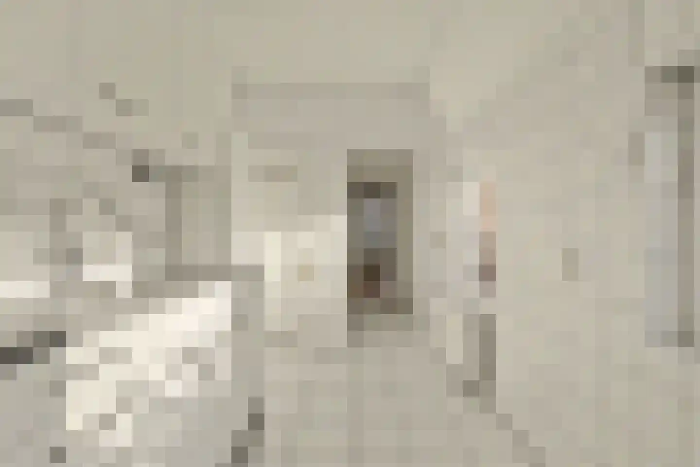 Choorstraat 101 Monster thumbnail 10