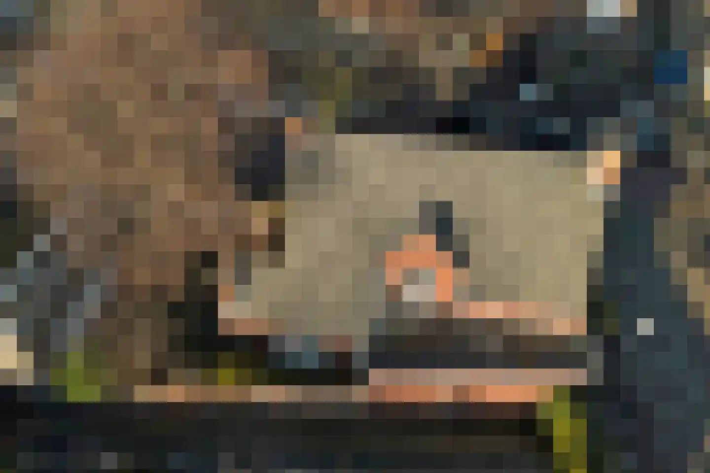 Choorstraat 101 Monster thumbnail 30