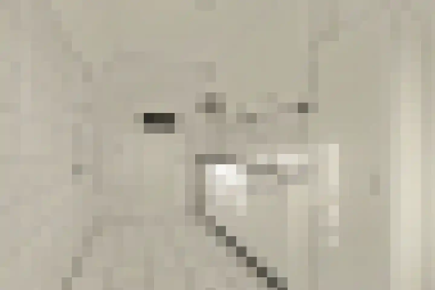 Choorstraat 101 Monster thumbnail 9