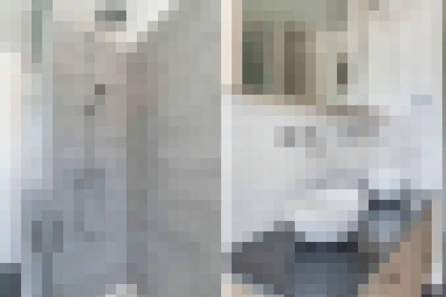 Choorstraat 15 A Monster thumbnail 40