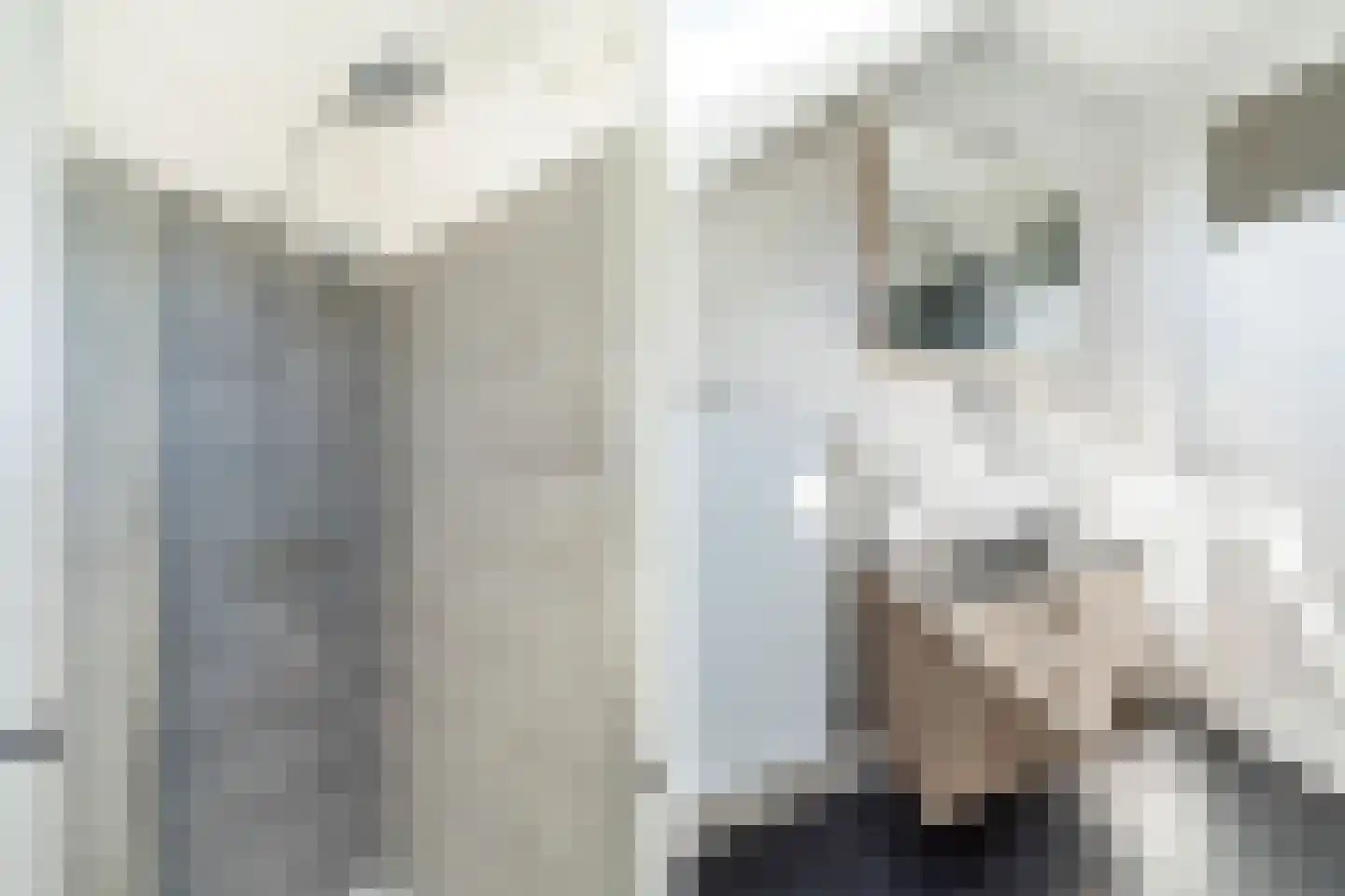 Choorstraat 15 A Monster thumbnail 47