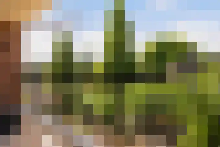 Choorstraat 29 A Monster thumbnail 19