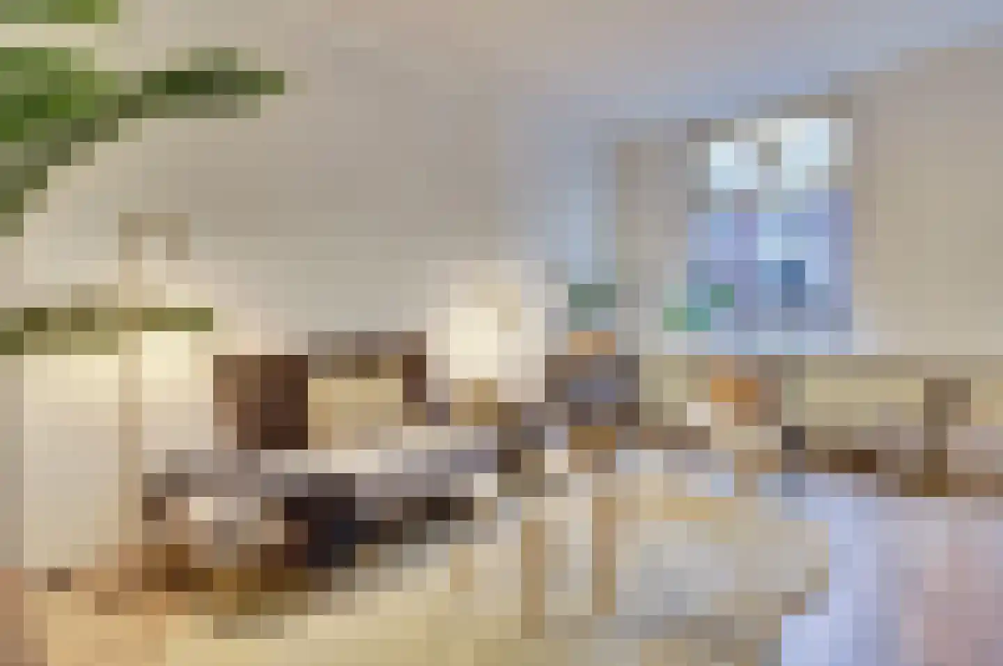 Choorstraat 36 B Delft thumbnail 6