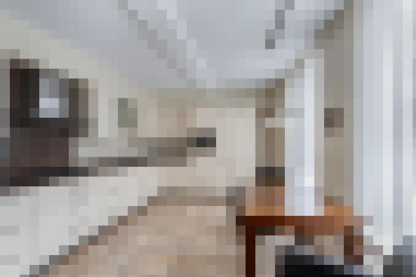 Choorstraat 37 B Monster thumbnail 13