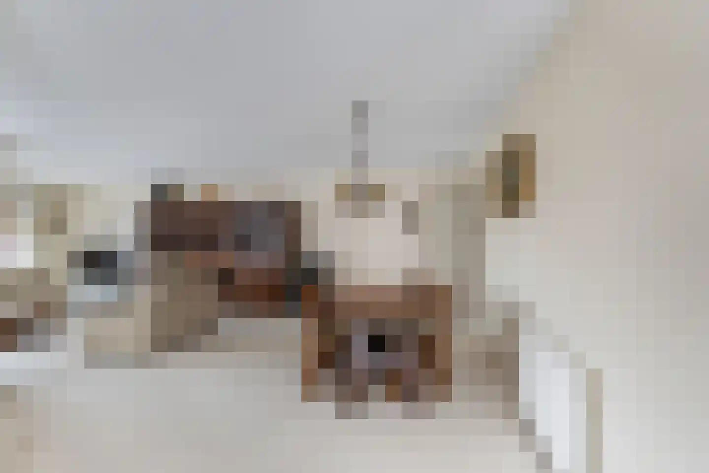 Choorstraat 37 B Monster thumbnail 5