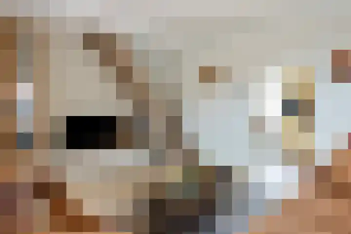 Choorstraat 38 Monster thumbnail 17