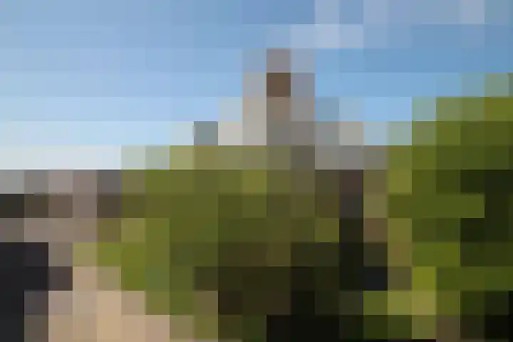 Choorstraat 6 E Monster thumbnail 10