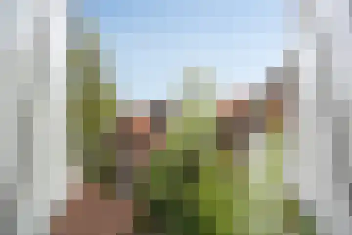 Choorstraat 6 's-Hertogenbosch thumbnail 19