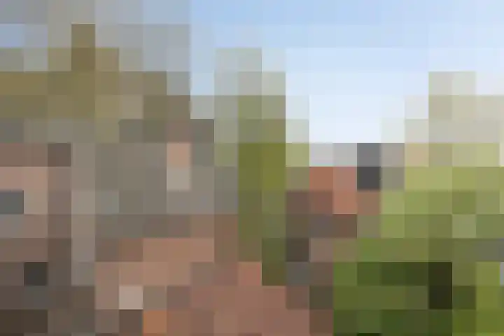 Choorstraat 6 's-Hertogenbosch thumbnail 20