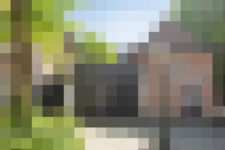 Choorstraat 6 's-Hertogenbosch thumbnail 30