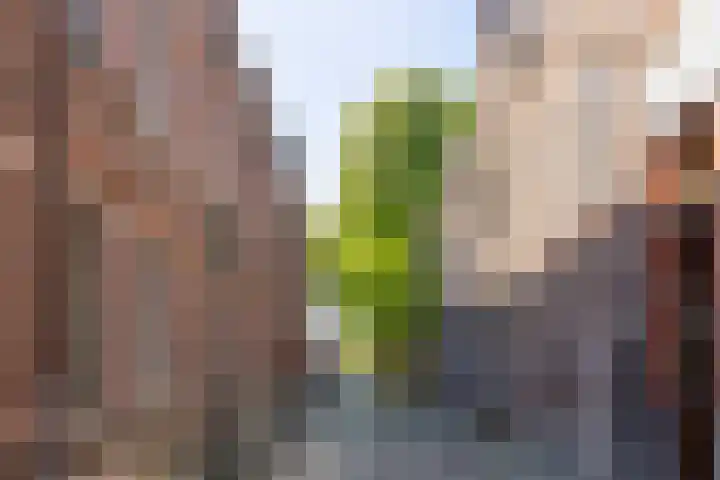 Choorstraat 6 's-Hertogenbosch thumbnail 32