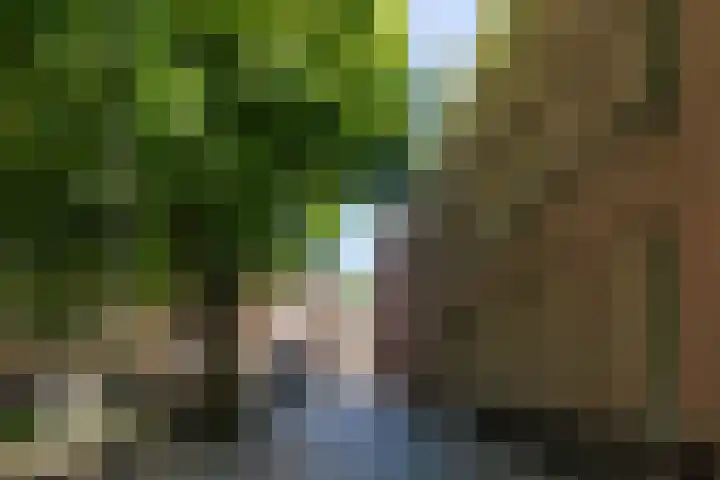 Choorstraat 6 's-Hertogenbosch thumbnail 36