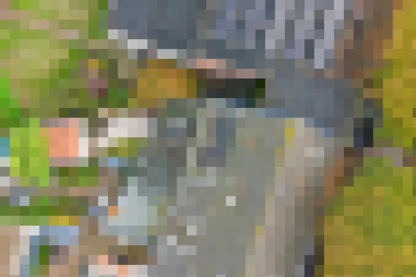 Choorstraat 62 Monster thumbnail 25