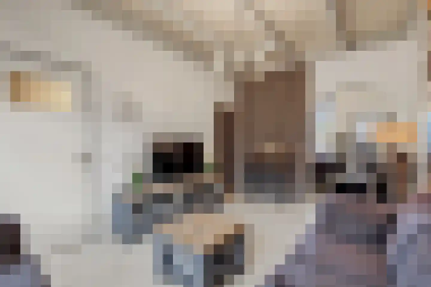 Choorstraat 62 Monster thumbnail 6
